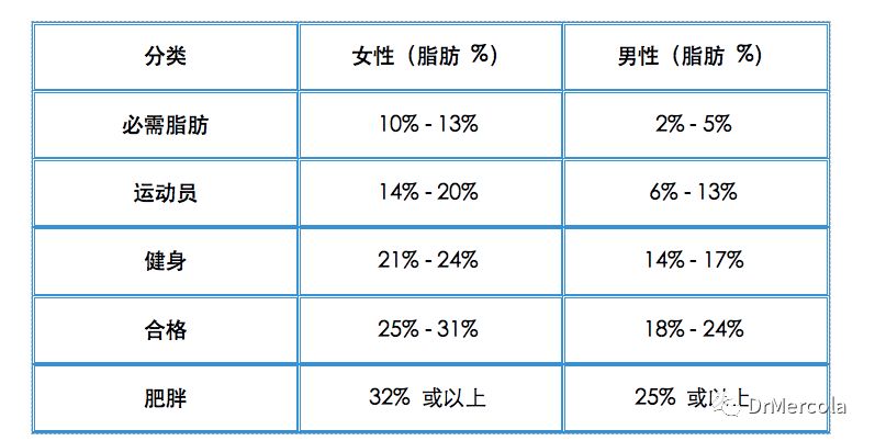 原創腹部脂肪的危害不只是讓您的bmi指數落入肥胖範圍