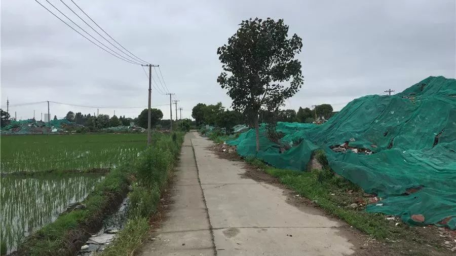 >>>奉贤区南桥镇沈陆村   沈陆村地块影像图   滑动看沈陆村现状>>6.