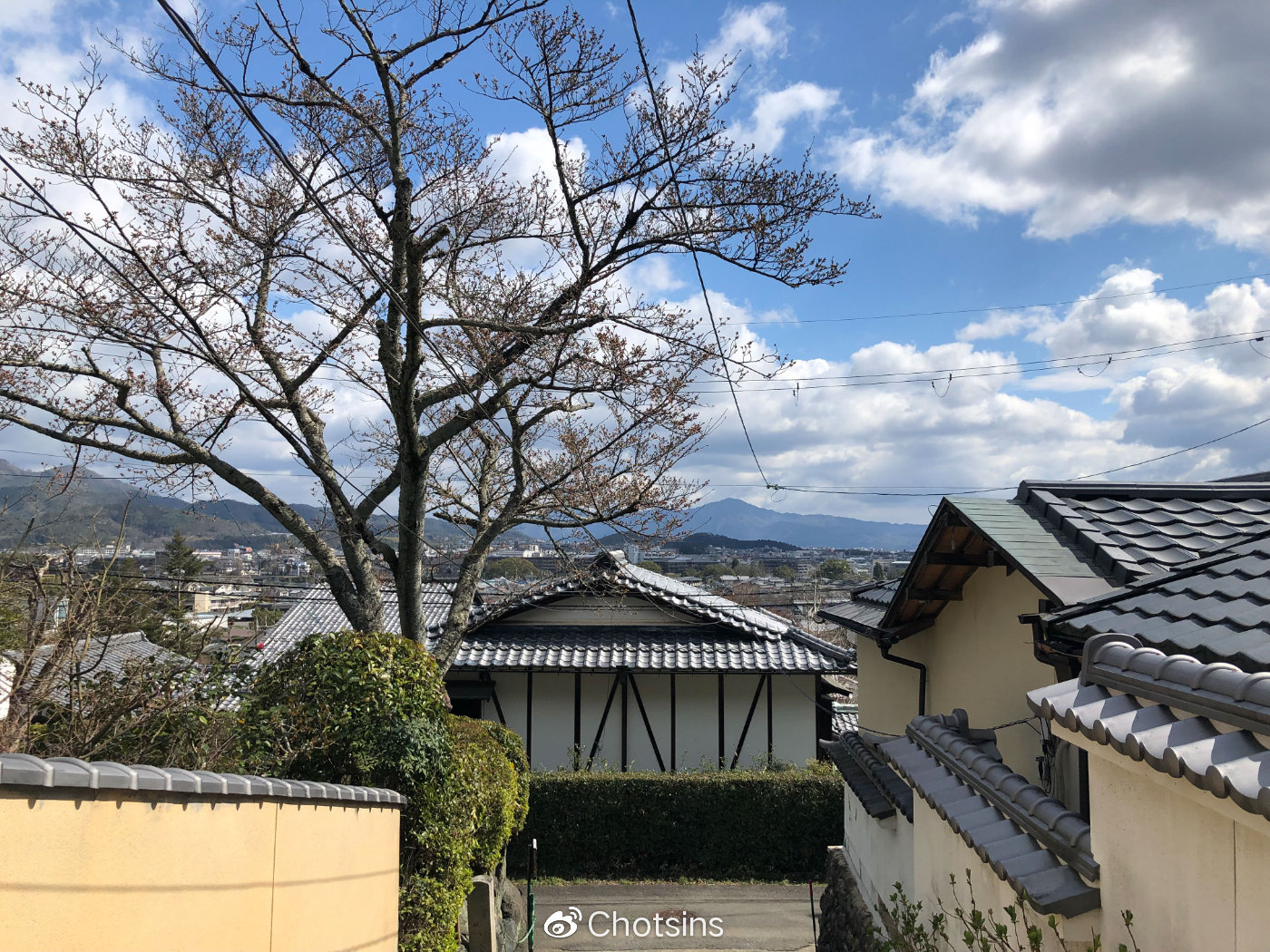 圖十八:嵐山眺望整個京都城全景圖十九:嵐山野宮神社祈福的情侶圖二十