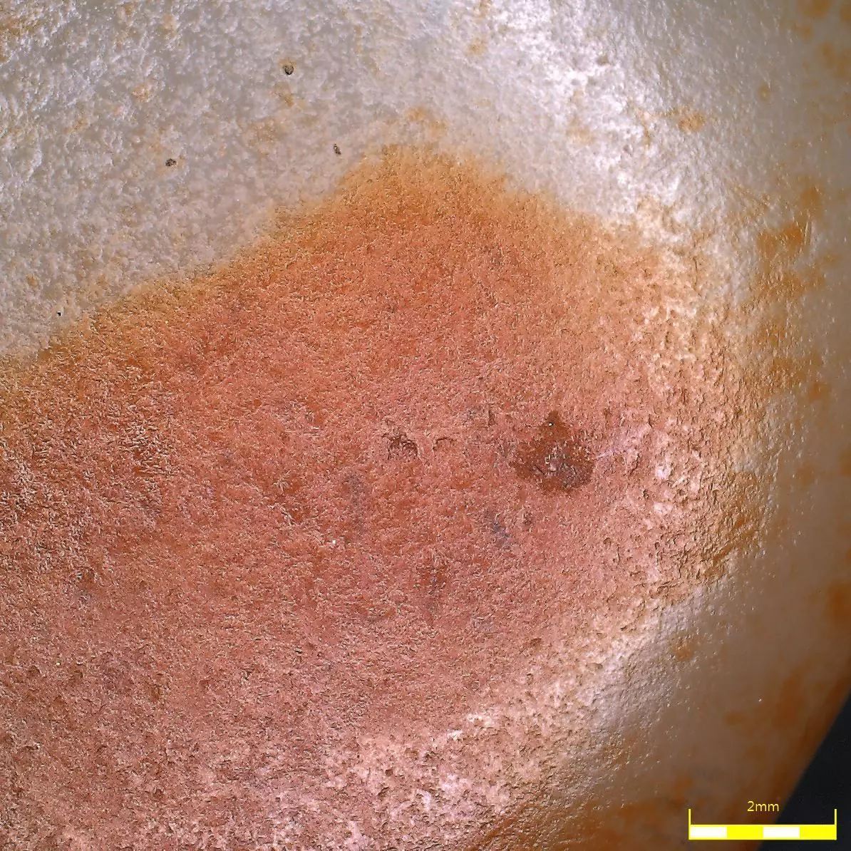 和田玉术语十四放大镜辨识和田玉