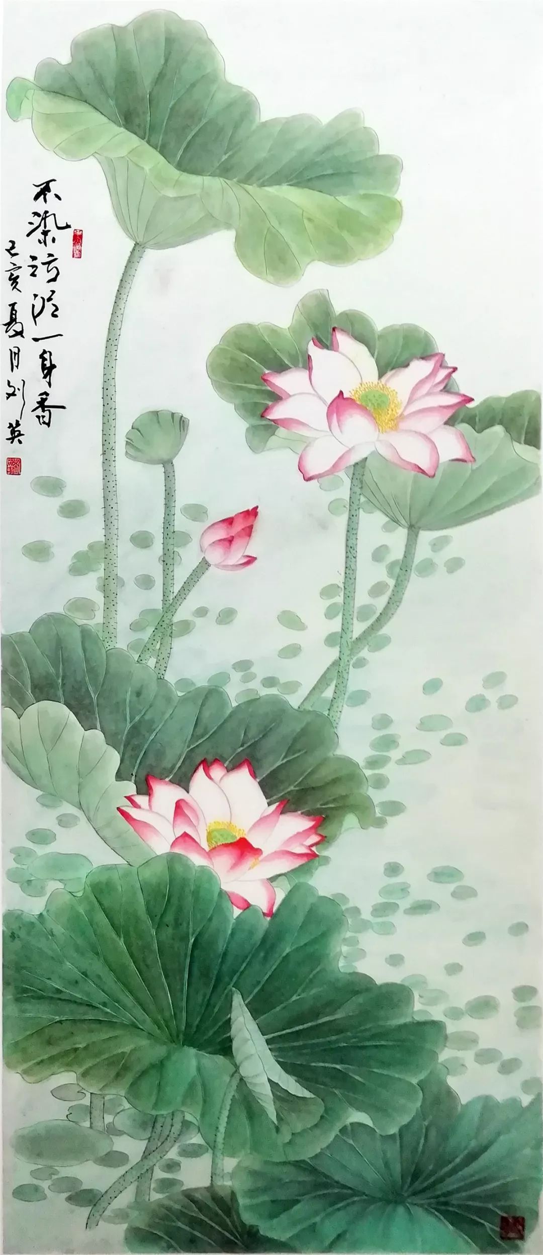 蒋铖菲 《一室青莲》△ 朱飞勤 《氤氲香气出清廉》△ 周伟标