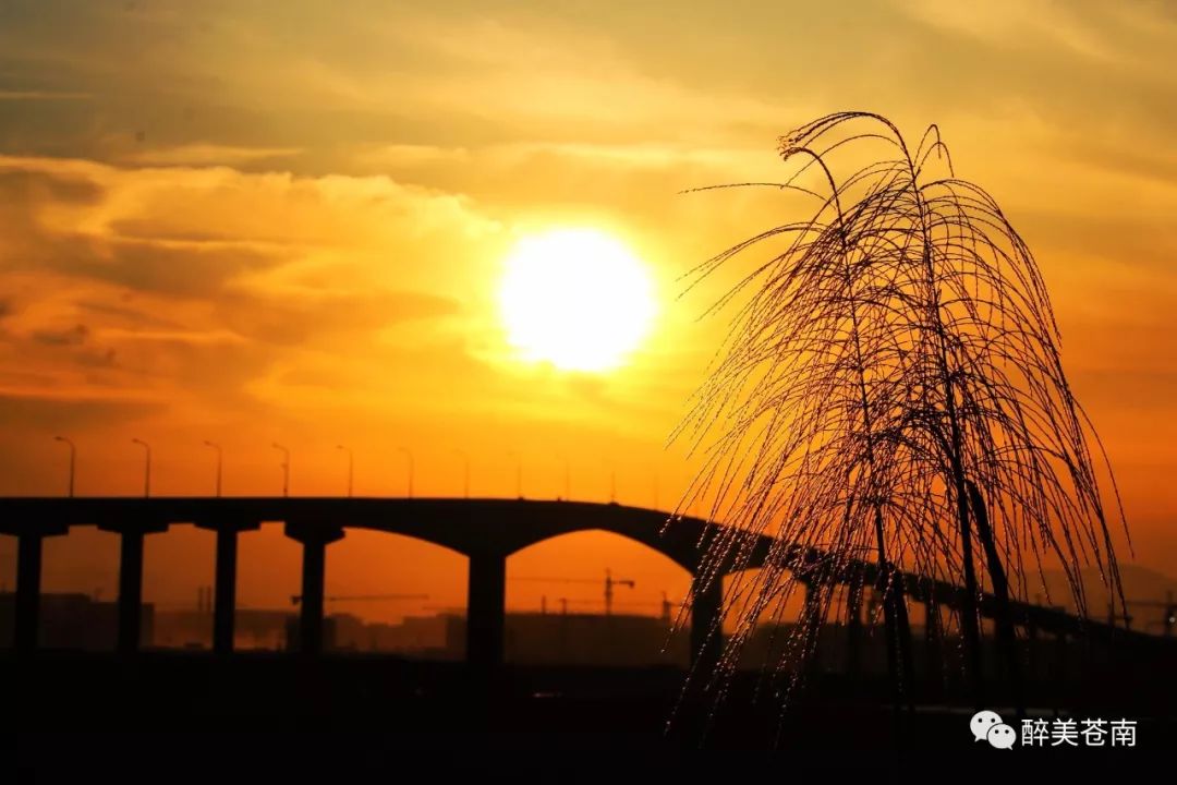 【高清大图】巴曹大桥之日落_龙港镇
