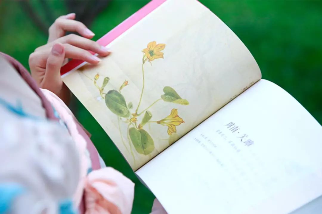 《诗经》是最美的歌曲,唱起来简直美炸了……_读者