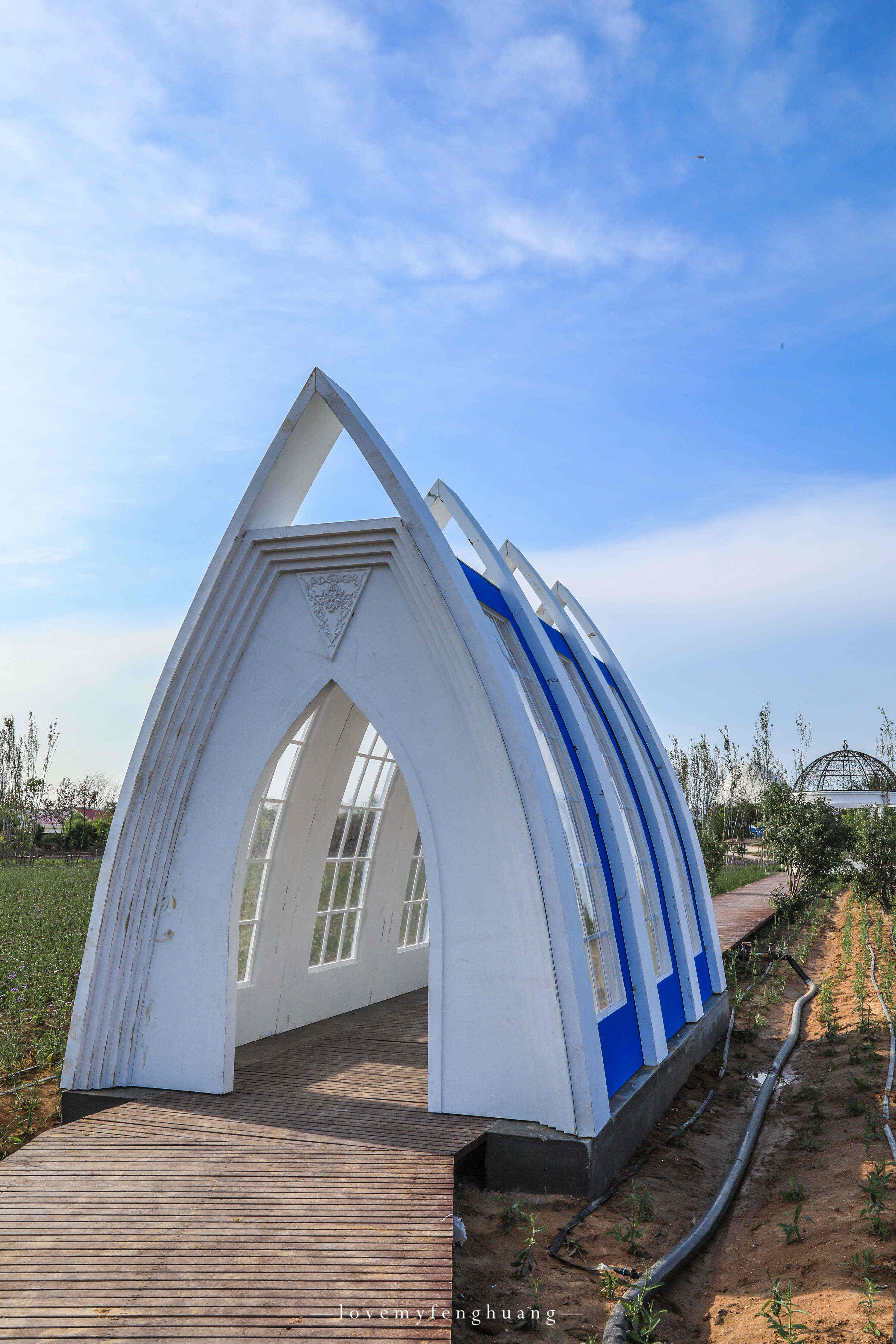 来薰衣草庄园,到网红打卡地拍写真