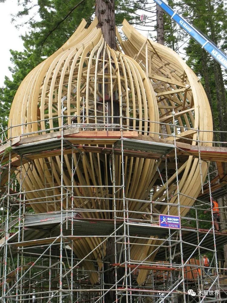 树灯笼餐厅,打造森林中的"鸟笼"