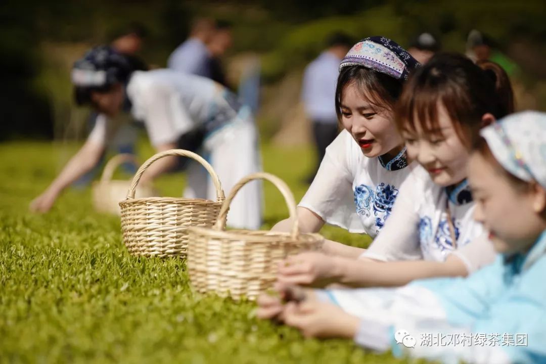 "宜昌宜红"全新品牌形象发布 | 邓村绿茶首获"宜昌宜红"商标使用权