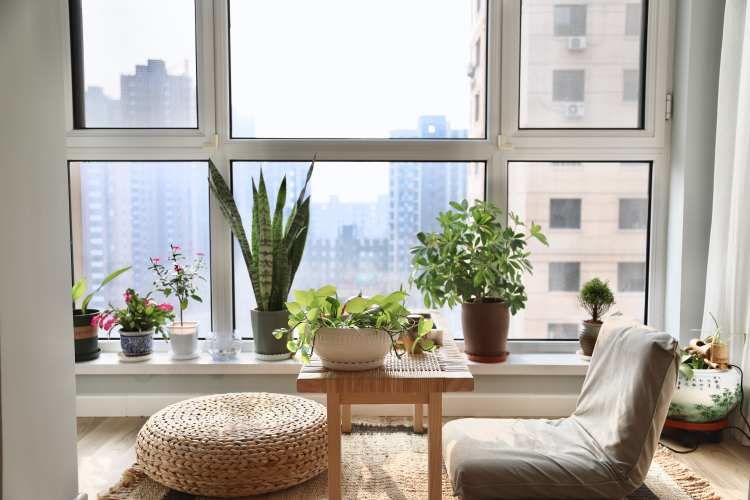 封阳台拆隔断在多雨的南方阳光才是最贵的装饰品