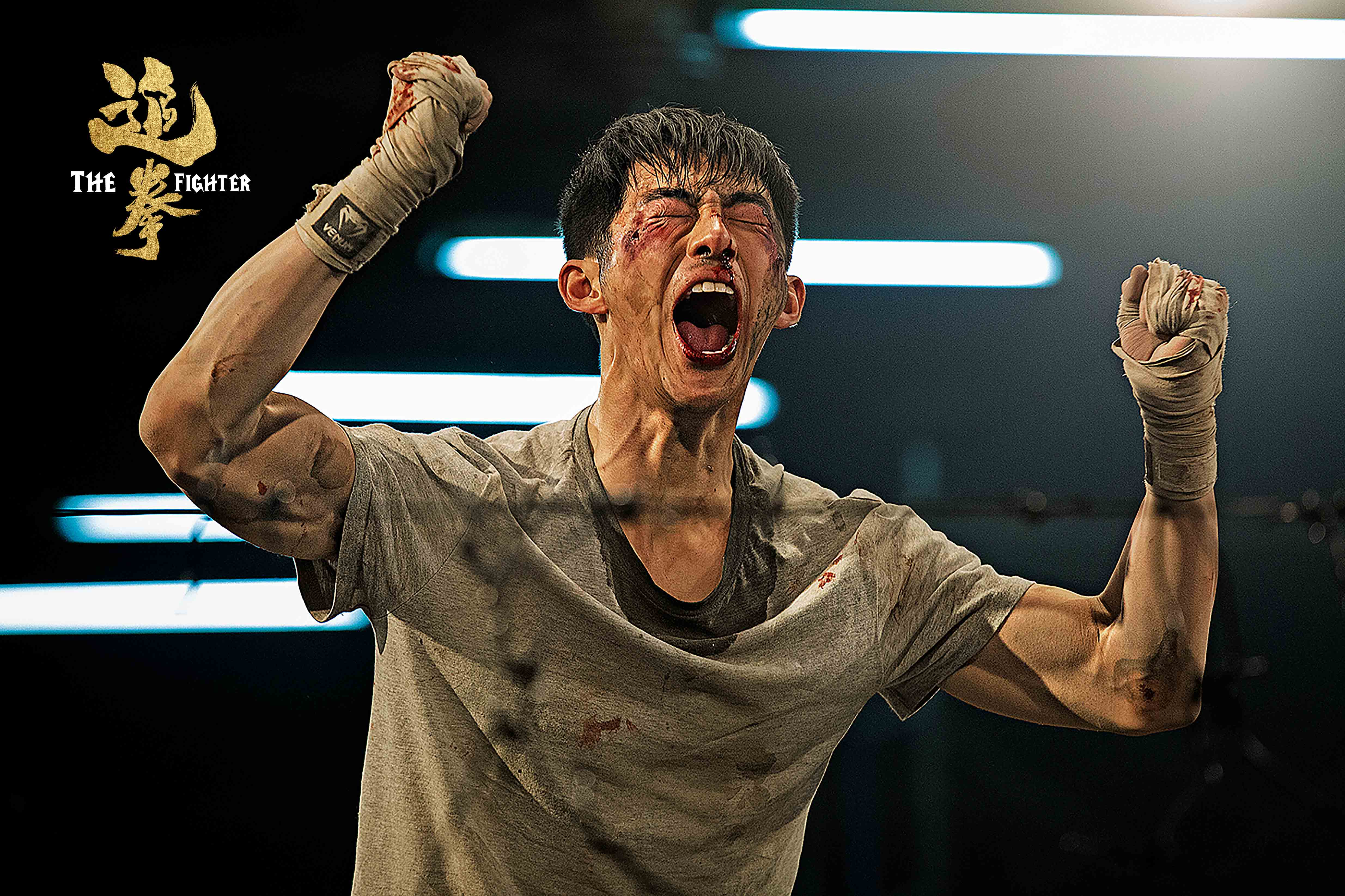 追拳亮相富川国际电影节励志格斗题材全球首映获好评