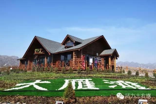 贾亮大雁滩金杏黄时