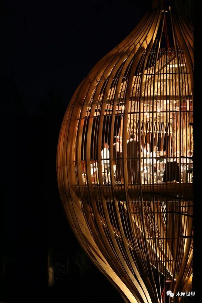 树灯笼餐厅,打造森林中的"鸟笼"