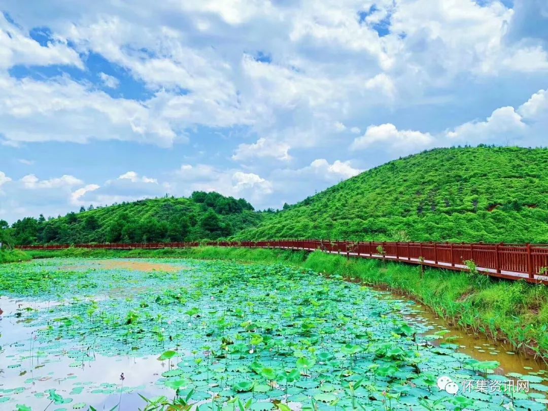 一探美景肇慶這個國家溼地公園工程進度如何