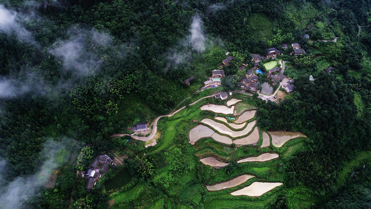 张家界5号山谷图片