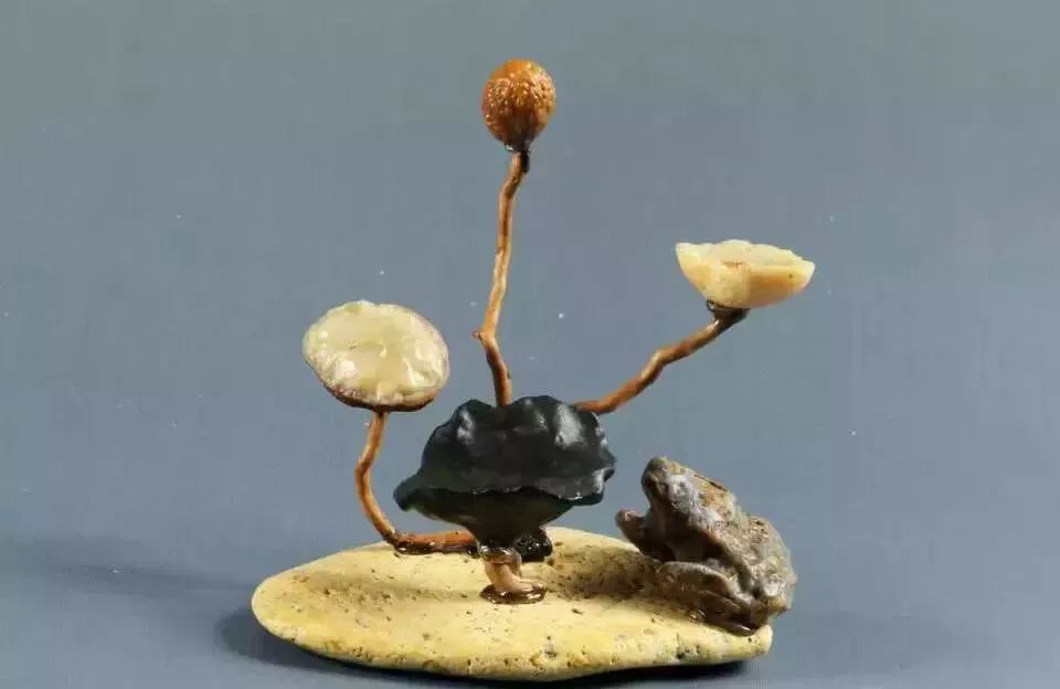 美鉴天赐奇石人赋妙境戈壁小品石组合之美