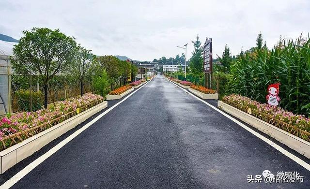 广西壮族自治区崇左市江州区代表团到昭化区考察交流脱贫攻坚工作