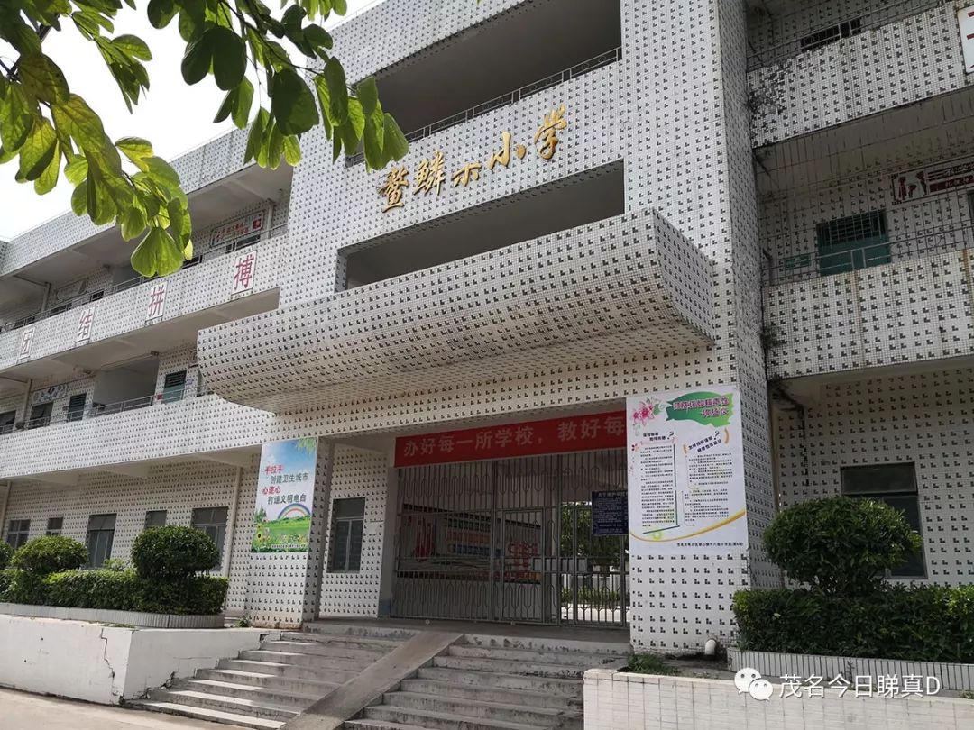 广湛高铁在电白坡心设【茂名南站】?最新消息是.