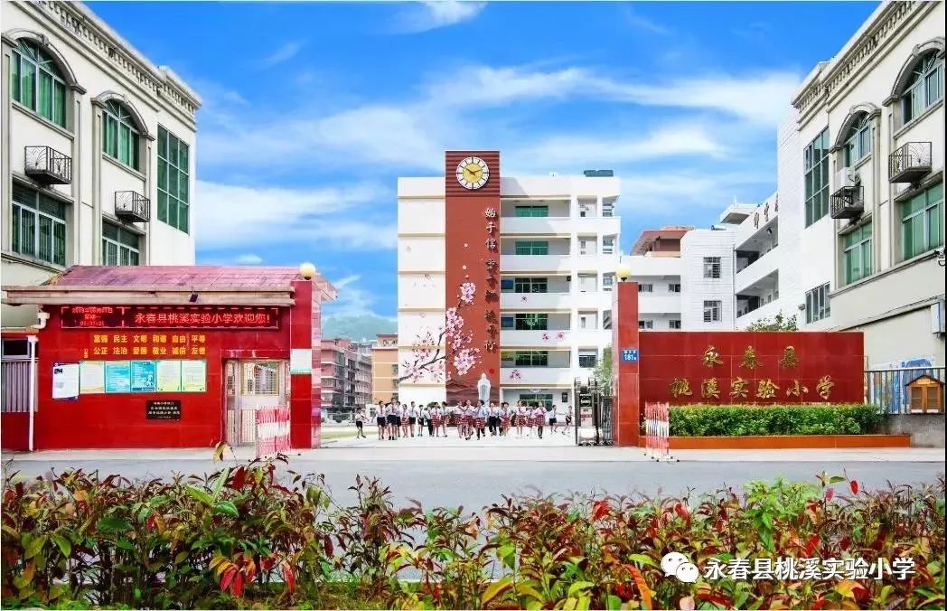 永春县桃溪实验小学图片