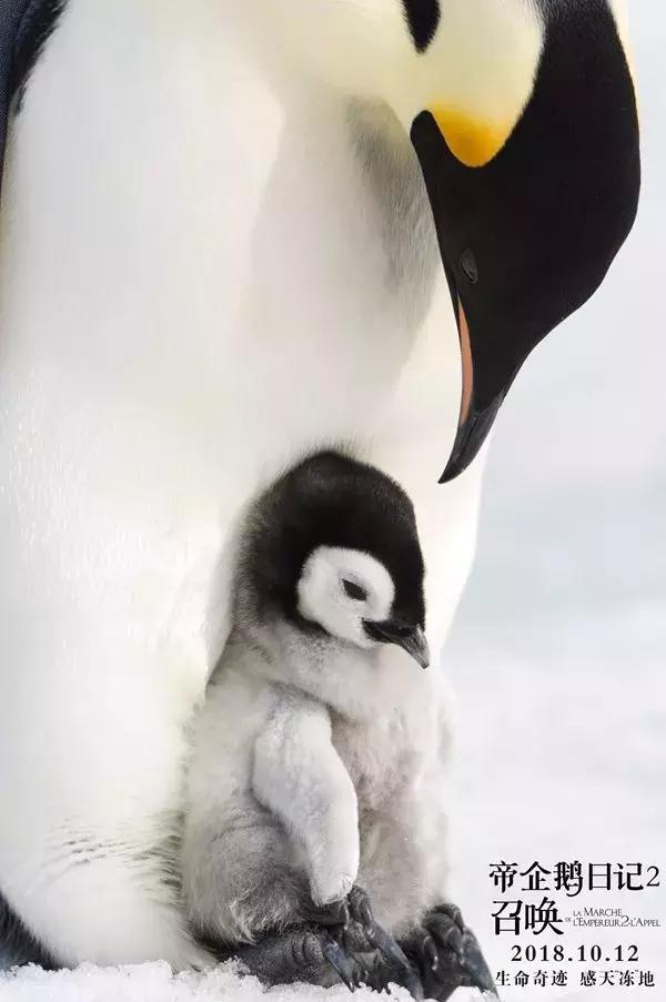 爸爸带大的孩子不一定优秀,但一定很幸福 _企鹅