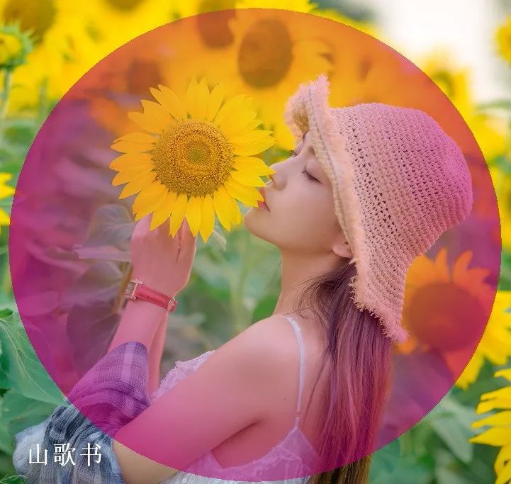山歌书网海情缘两茫茫
