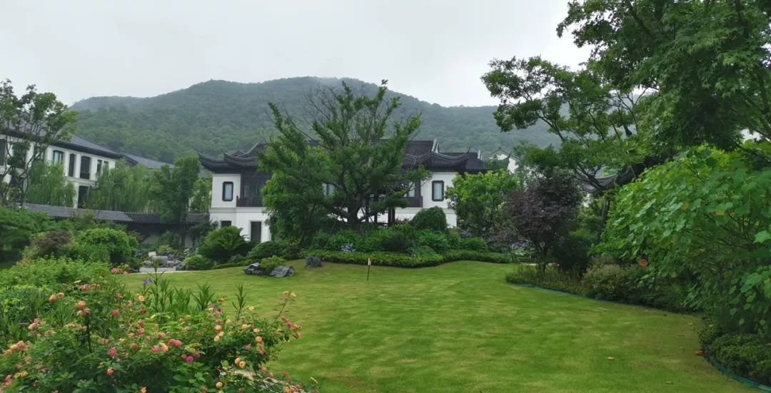 济南楼市下半年将经历什么?风险与机会同行!该准备看房了!