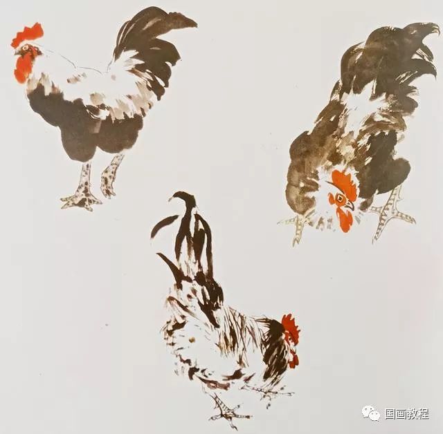 国画教程鸡的画法步骤