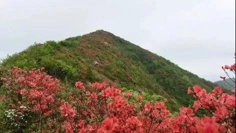 风景宜黄61芙蓉出云天