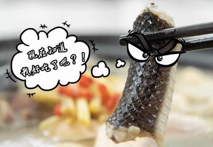 龙虎凤买一煲送一煲让全城吃货吃得起龙肉