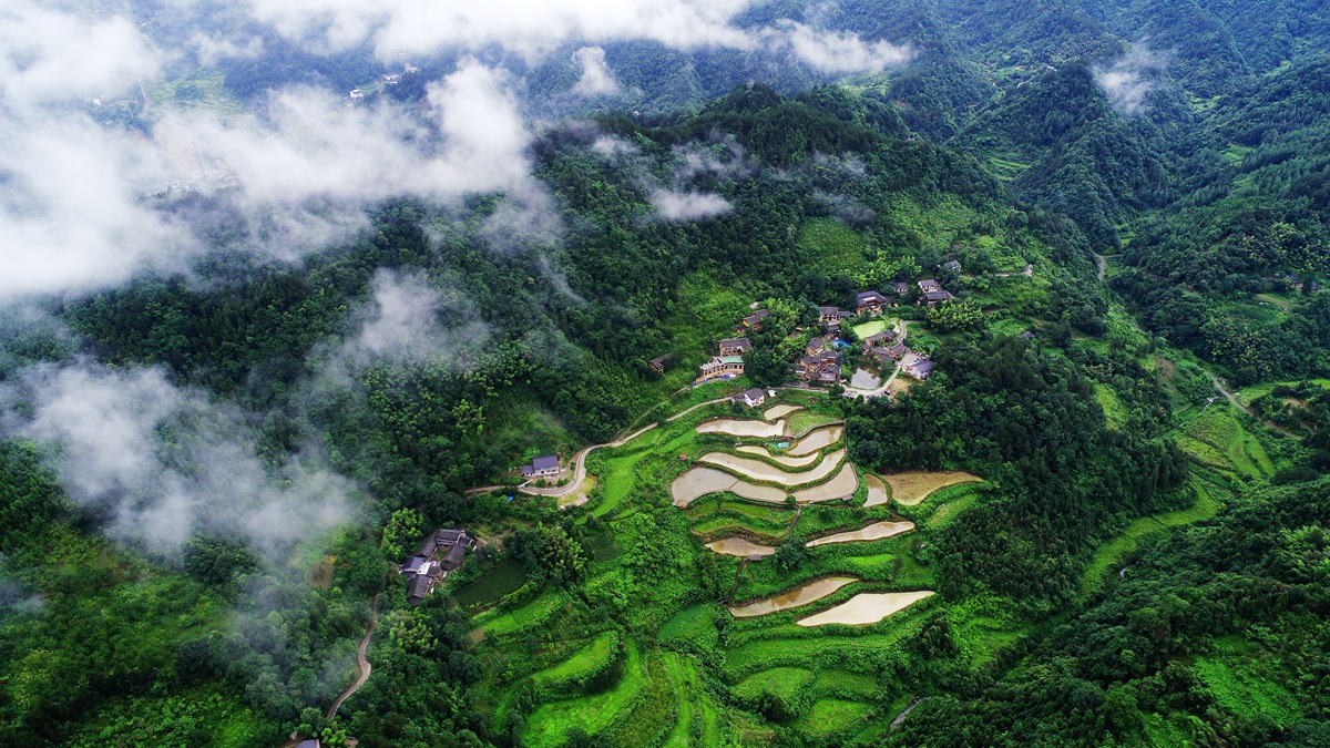 张家界5号山谷图片