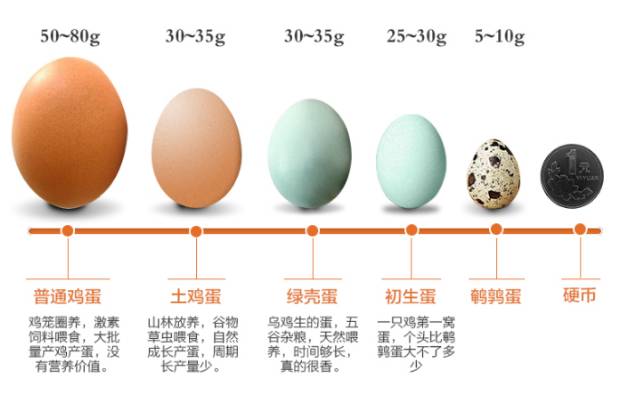 散养绿壳乌鸡蛋 