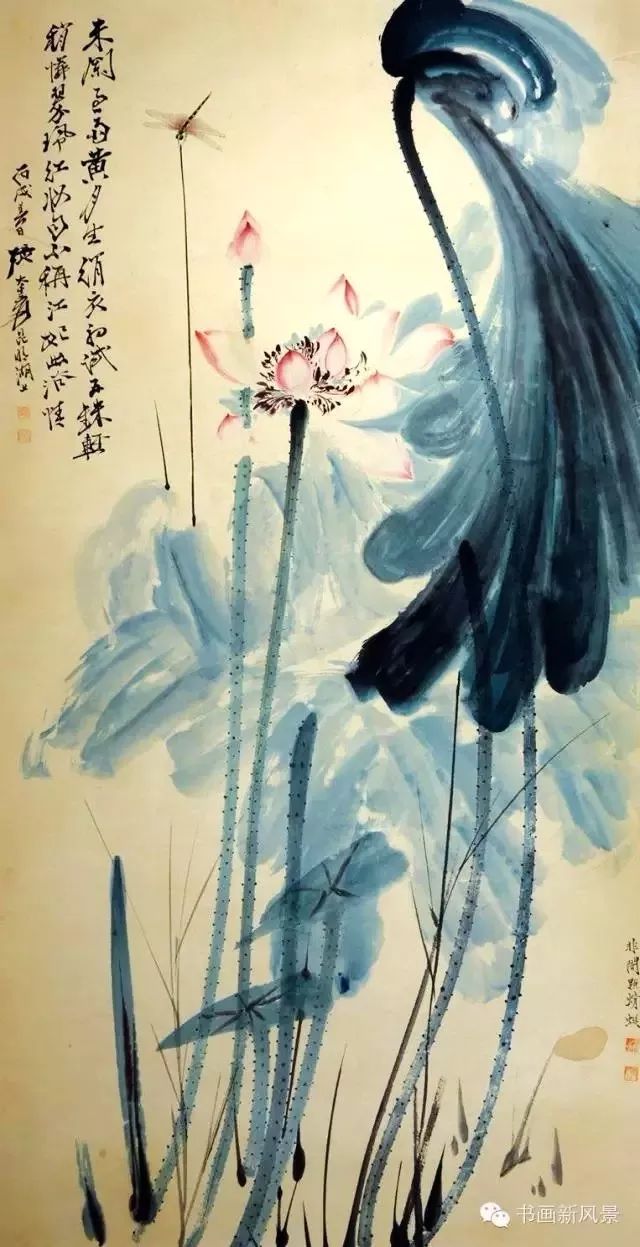 这组荷花蜻蜓,美极啦!