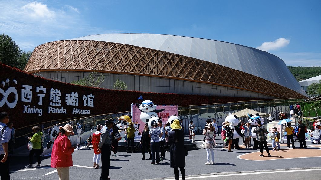 西宁熊猫馆今儿超热闹!原因是.