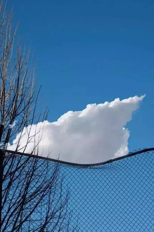 奇闻趣图会ps的摄影师就是好