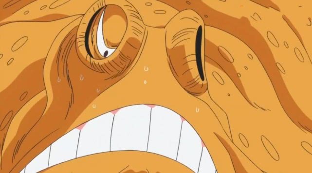 海贼王和之国再现神秘章鱼比起小八这只能力更加厉害