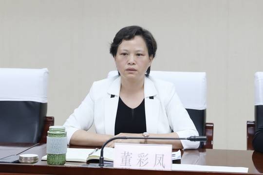 董彩凤带队开展建筑工地专项督查