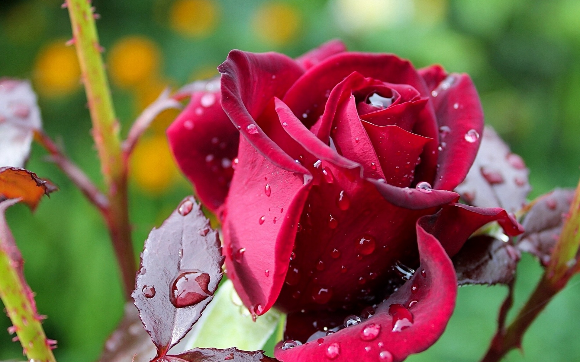 这3大生肖的人晚贵之命,40岁后苦尽甘来,富贵不止!