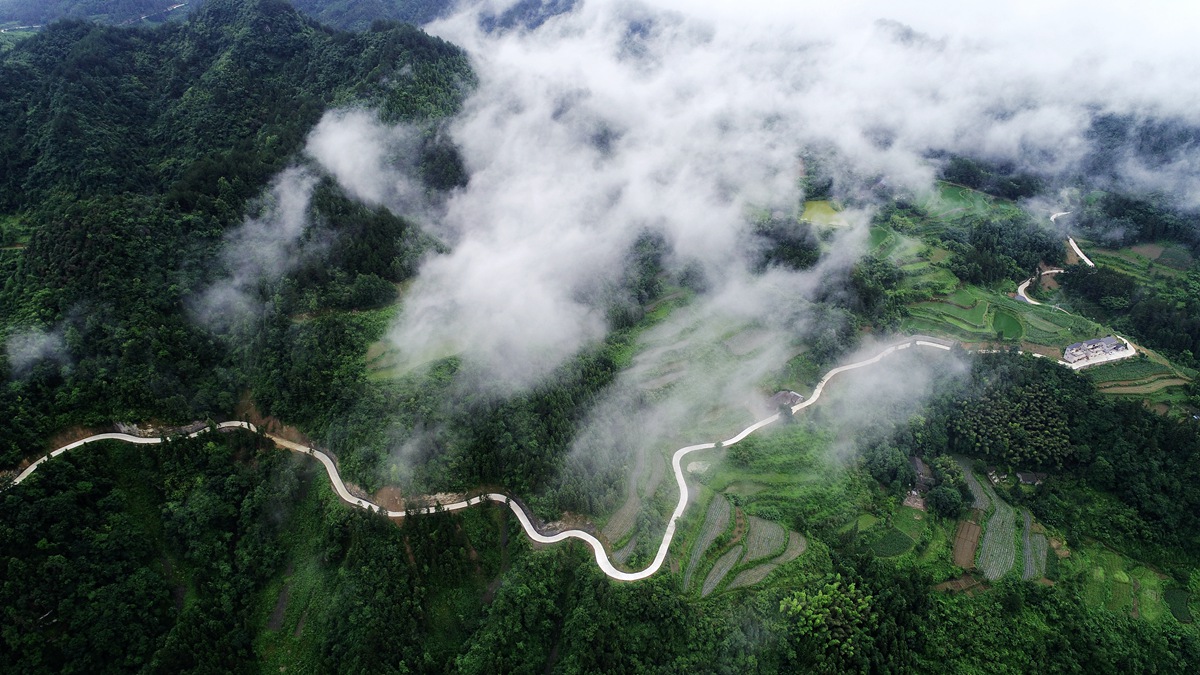 张家界5号山谷图片