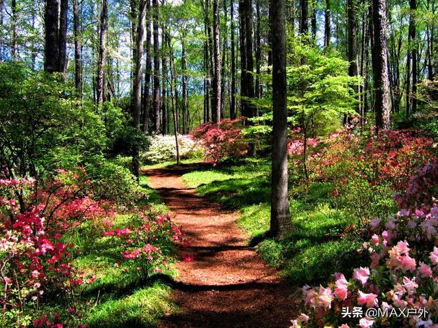 国内的8处绝美秘境个个都是上帝后花园
