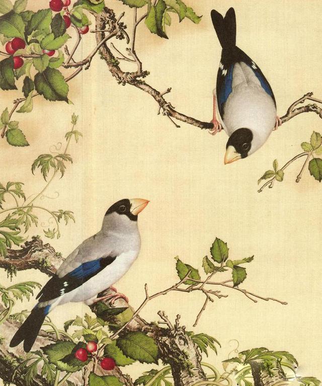 清代皇室宫廷画家郎世宁《彩绘花鸟图 中西合璧之美》_绘画