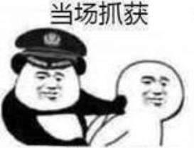 你被逮捕了表情包