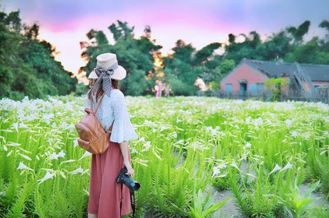 原来云林美的那么犯规!云林限定「仙气版」美拍圣地看过来