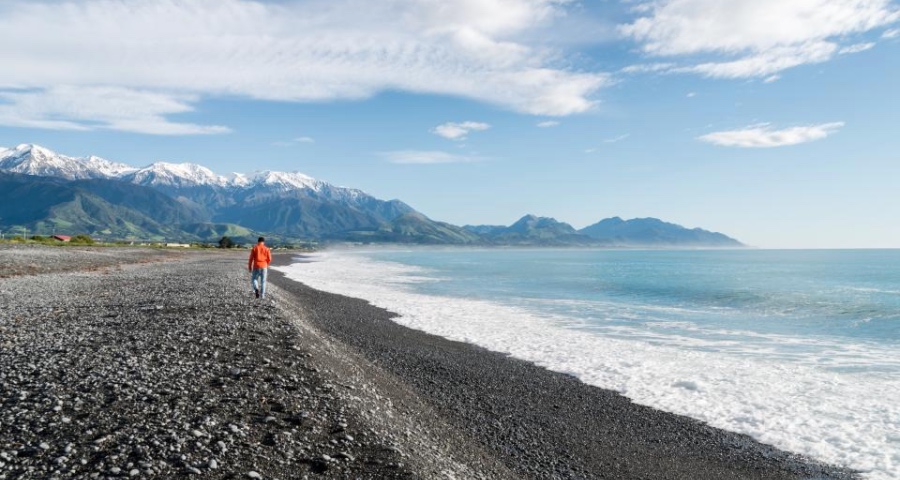 快餐文化盛行、生活方式短平快，令电蒸箱中国普及之路并不好走-家电圈官网