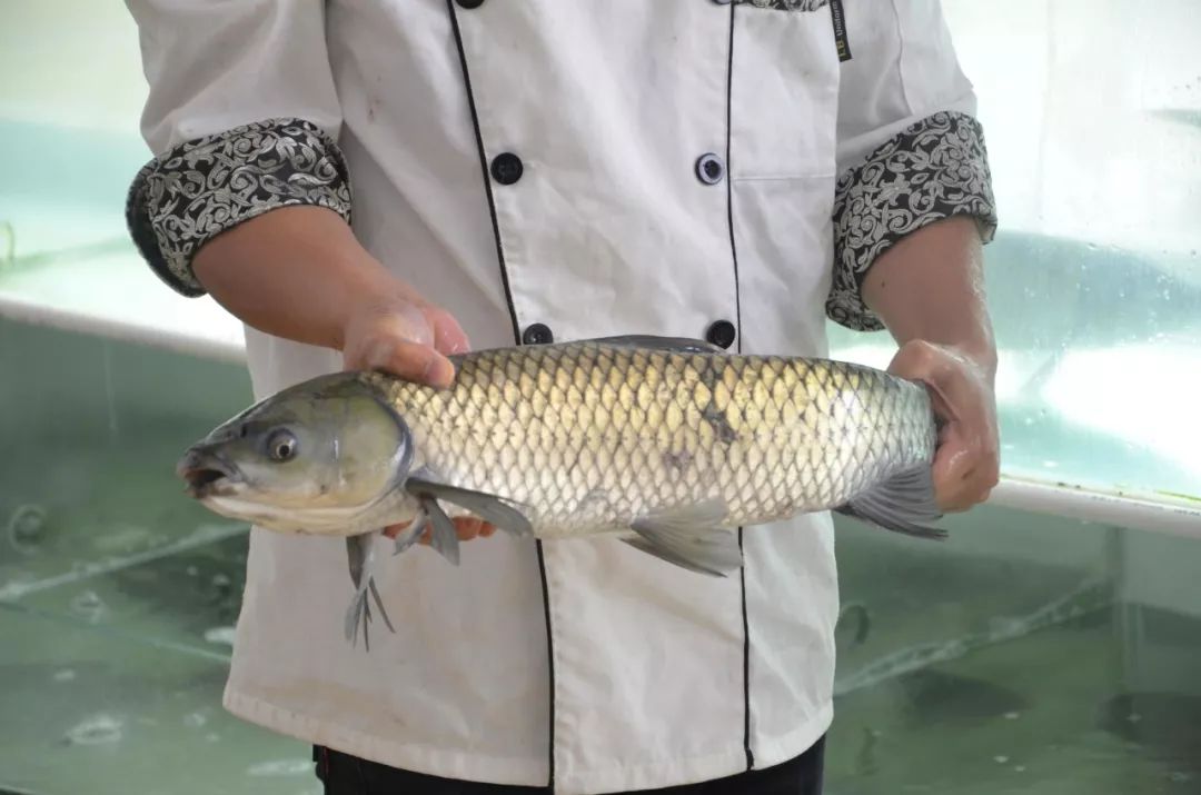 一鱼多吃;和市场采购回来的吊水鱼大相径庭