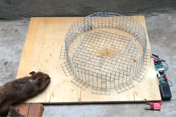 diy老鼠陷阱以前老鼠那么嚣张那是没有碰到我的捕鼠器