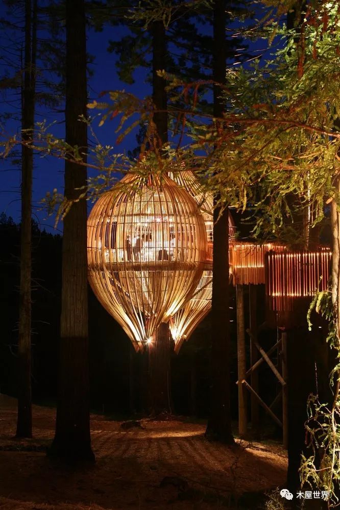 树灯笼餐厅,打造森林中的"鸟笼"