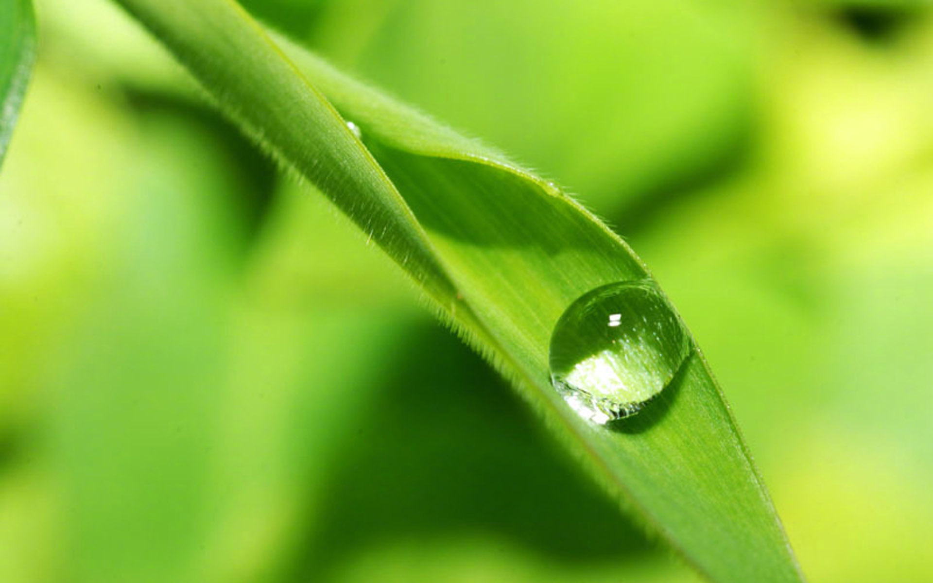 有时候都把属兔的人搞蒙了,他们觉得一天过的非常神奇,如此好运赶快去