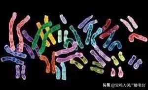 克氏、超雄、超雌综合征是什么,详解染色体异常遗传病(2)_患者