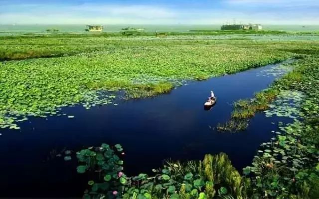 洪湖水浪打浪二日游399元