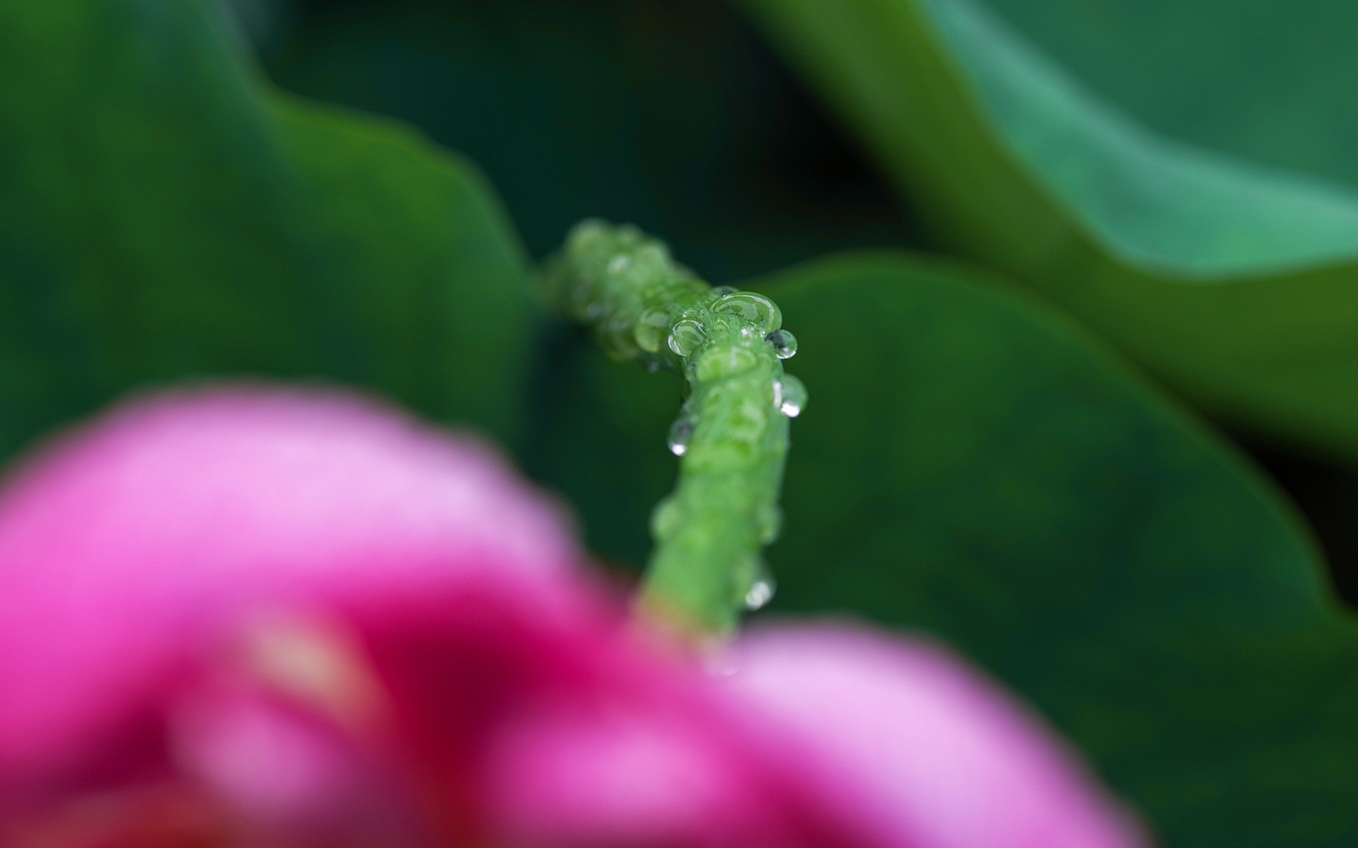 做事情踏踏实实,3大生肖凭借自身强劲实力,赢得大众掌声!