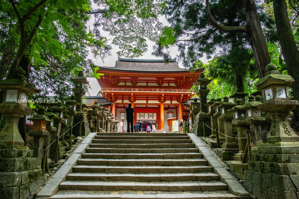 实拍日本最美神社：三千座石灯呈现奈良古韵搜狐大视野搜狐新闻