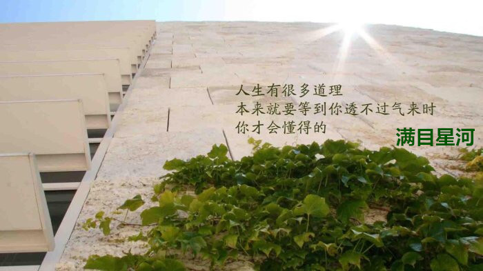 满目星河：如果失去了方向，那么所有方向吹过来的都是...
