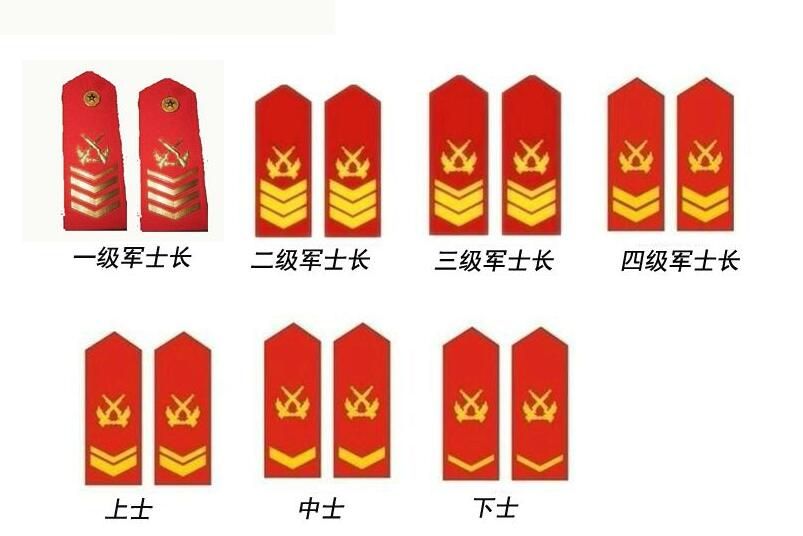 中国武警等级及标志图片